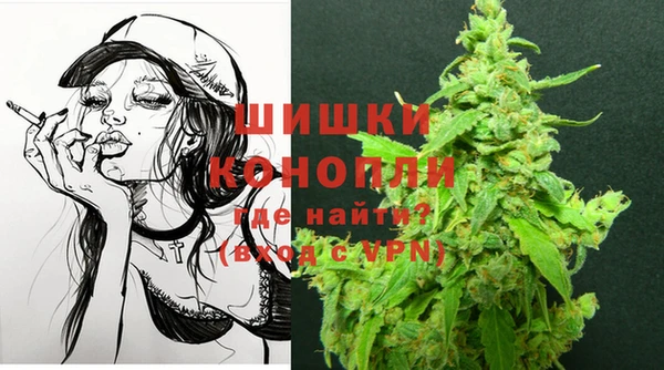 apvp Богданович