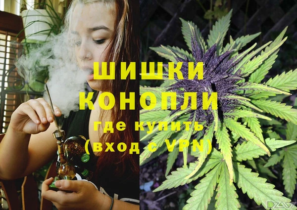 apvp Богданович