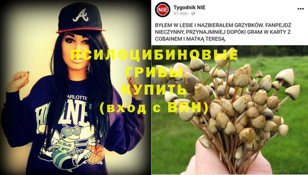 МДПВ Богородицк