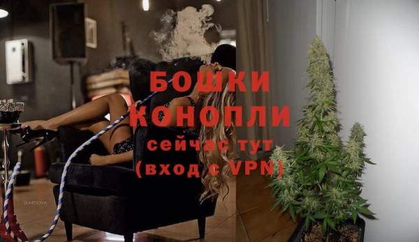 ECSTASY Богородск