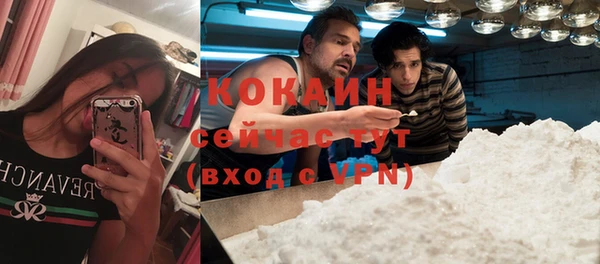 apvp Богданович