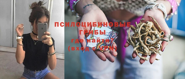 apvp Богданович